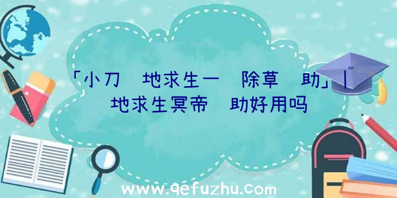 「小刀绝地求生一键除草辅助」|绝地求生冥帝辅助好用吗